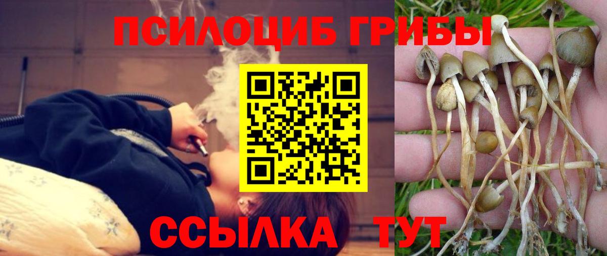 Людиново  Псилоцибиновые грибы ЛСД  Вход с VPN  Галлюциногенные грибы мухоморы 
