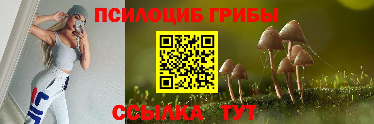 Псилоцибиновые грибы Psilocybe Людиново